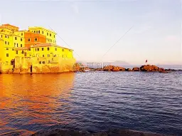 包含热那亚客场搏杀博洛尼亚，惜败收场的词条