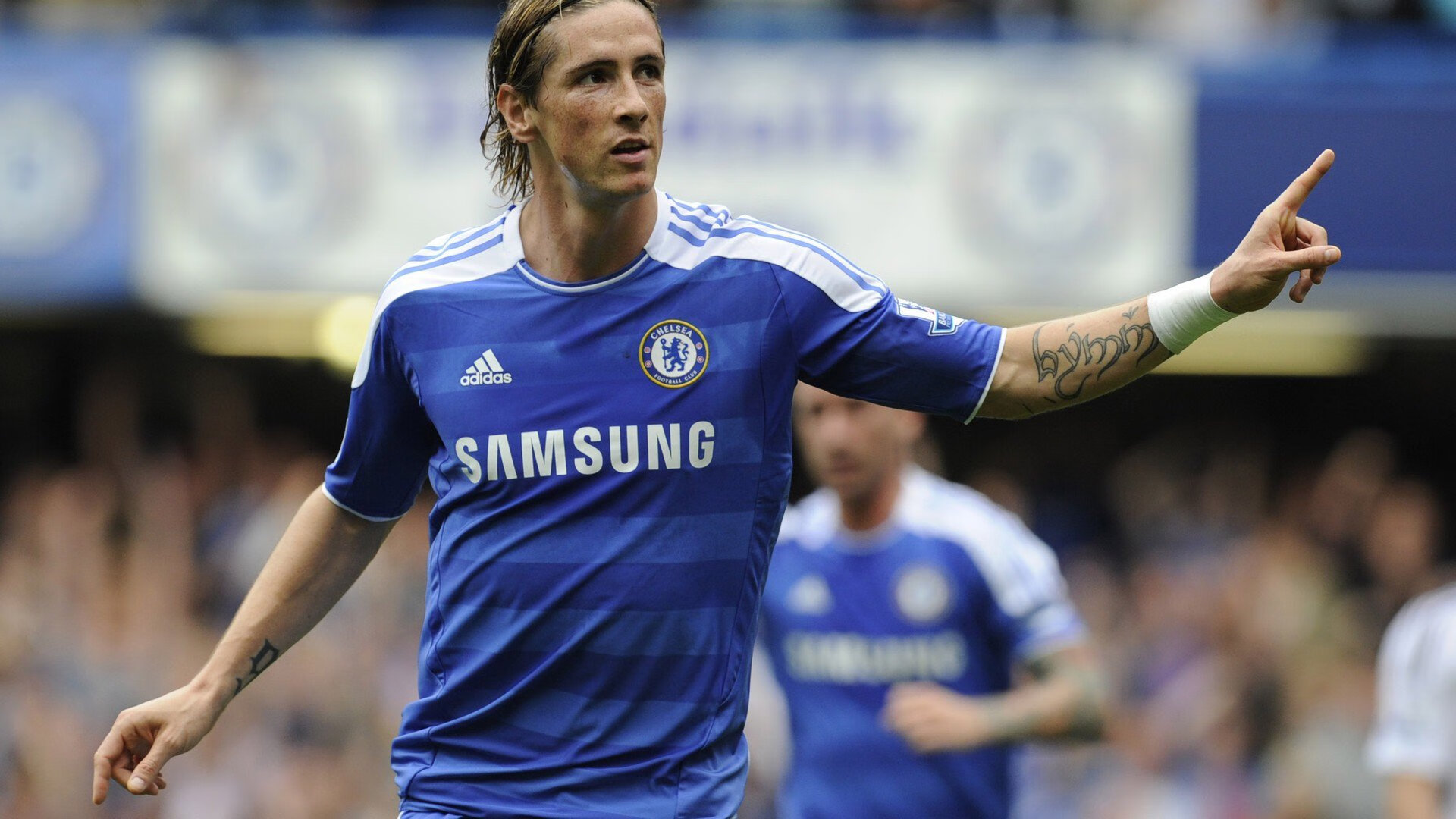 温网绝杀法网，穆雷刷新纪录，草地之王再铸传奇