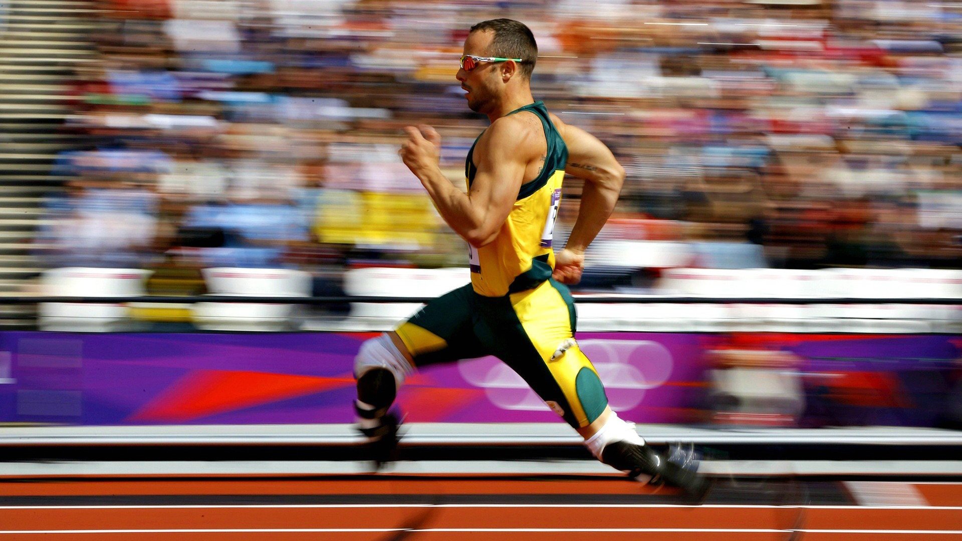 林高远刷新纪录之夜，波兰队碾压式胜利震撼法国